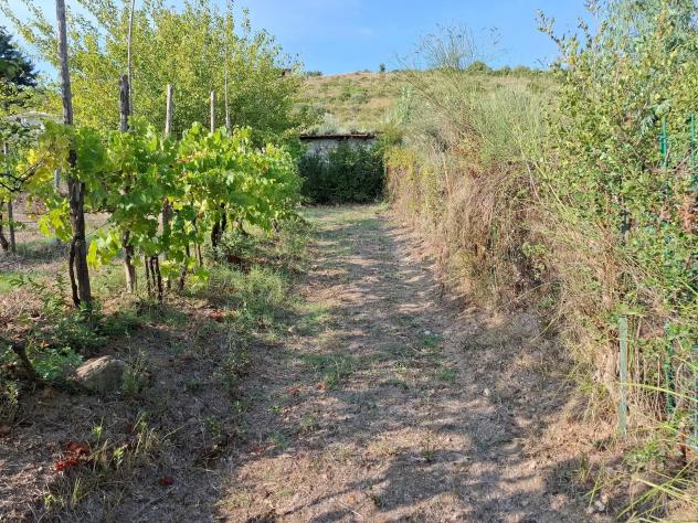Agricolo in Via Alberto Moravia - Foto 10