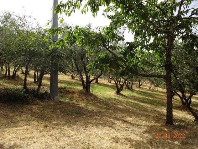 Terreno agricolo in Vendita in zona LECCIO con giardino