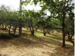 Terreno agricolo in Vendita in zona LECCIO con giardino