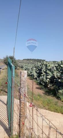 Terreno in vendita a Caltagirone - Foto 3