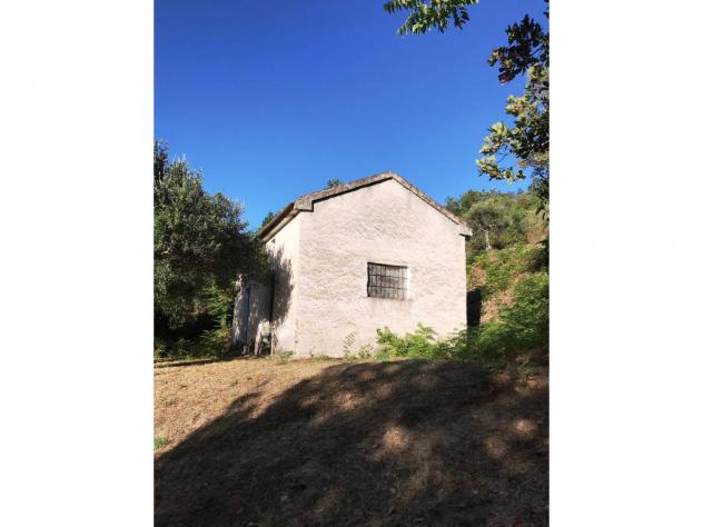 Casa di campagna in Via Caselle - Foto 5