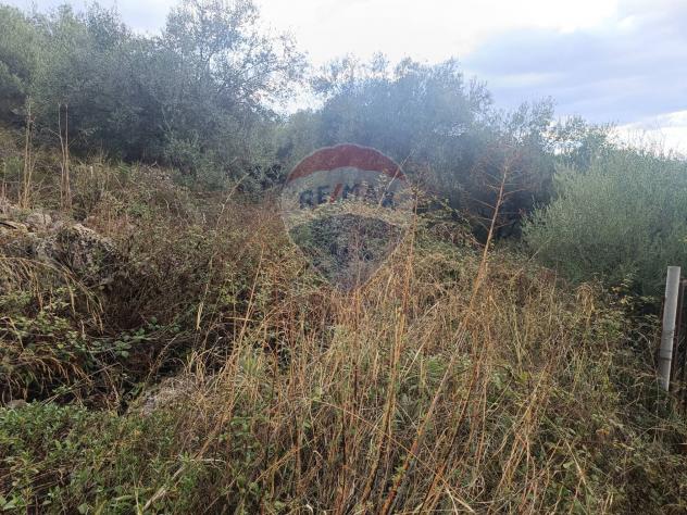 Terreno in vendita a Sortino - Foto 6