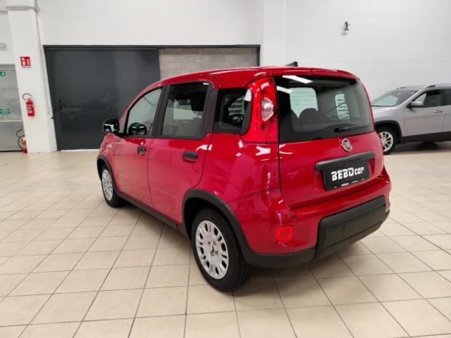 FIAT Panda 1.0 FireFly S&S Hybrid rif. 21725784 - Foto 8