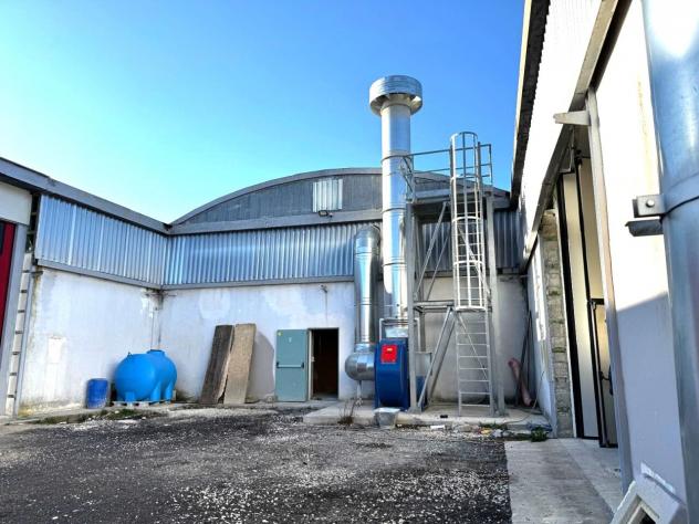 Industriale/Artigianale in vendita a Broccostella - Foto 15