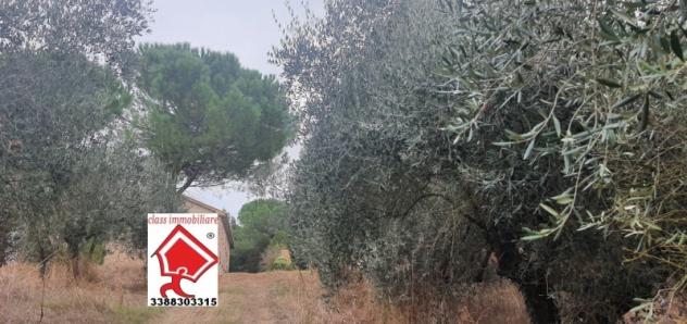 ZONA PILA CASALE RUSTICO DI CIRCA 450 MQ DA RISTRUTTURARE CON TERRENO DI CIRCA 3500 MQ E OLTRE. - Foto 5