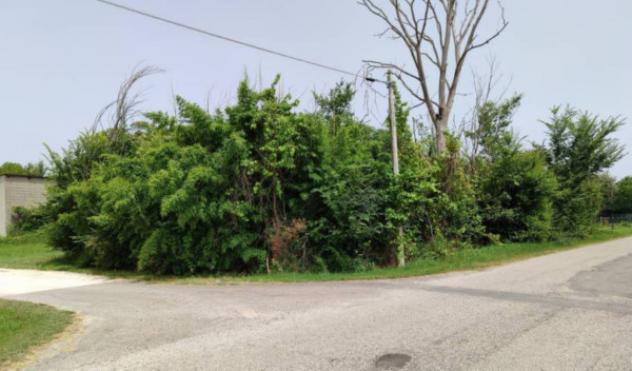 Immobile in asta di 355 m² in vendita a Poggio Rusco - Foto 4