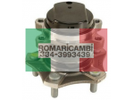 Nissan Qashqai J10 mozzo ruota posteriore 43202-JG01A