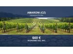 Immobile in asta di 319 m² in vendita a Amaroni