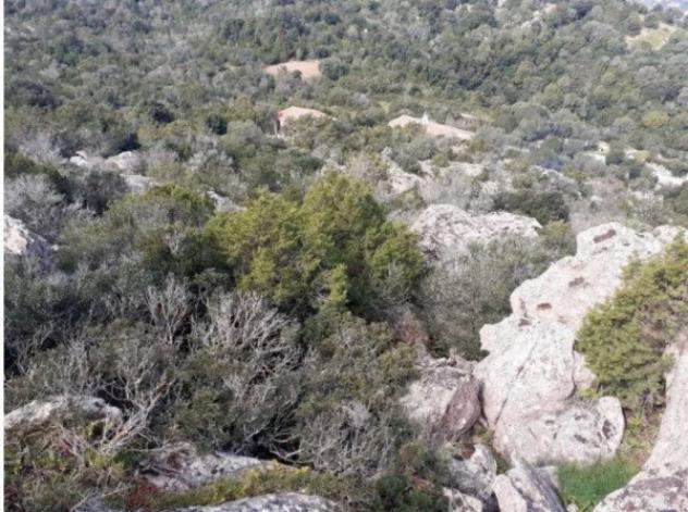 Immobile in asta di 12561 m² in vendita a Arzachena - Foto 3