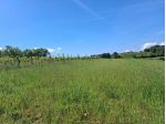 Terreno agricolo in vendita a San Pietro In Belvedere - Capannoli 24000 mq  &hellip;