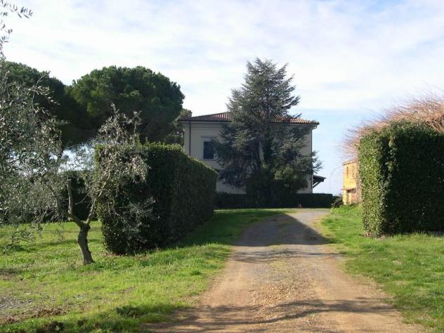 Terreno agricolo in vendita a Casale Marittimo 240000 mq Rif: 1177352 - Foto 5