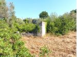 Terreno agricolo 4.700 m² con possibilità edificatoria – Ceglie Messapica