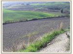 Agricolo in vendita a Chianni