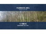 Immobile in asta di 9530 m² in vendita a Fiuminata