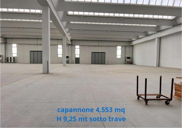 2430 - Capannone in Affitto 5.150 mq a Fonte (TV) Rif. 2430 - Foto 5