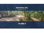 Immobile in asta di 3875 m² in vendita a Bevagna