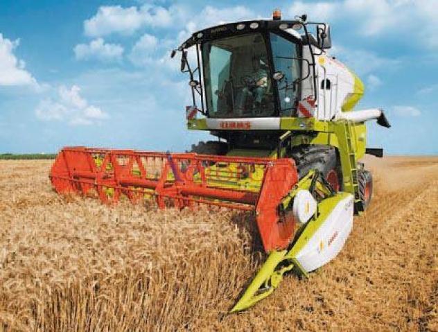 FIUMICINO, CASALE CON TERRENO AGRICOLO IN VENDITA - Foto 3