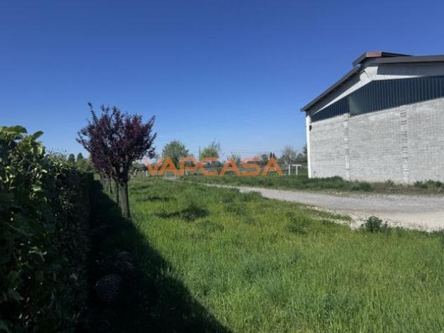 CAPANNONE IN OTTIMO STATO DI 800 MQ SU AREA DI 2800 MQ - Foto 2