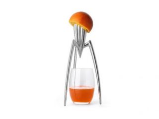 DESIGN che passione!