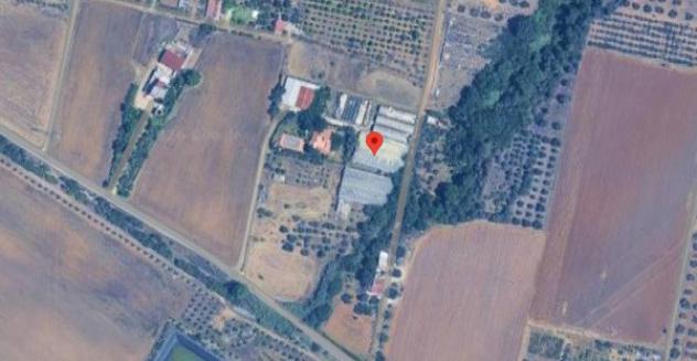 Immobile in asta di 984 m² in vendita a Bernalda - Foto 2