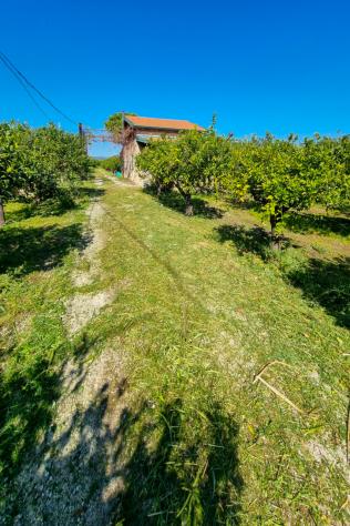 Rustico in vendita a Francofonte - Foto 14