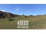 TERRENO AGRICOLO