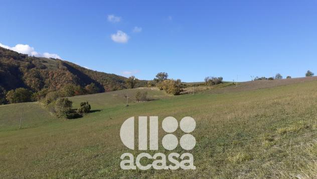 TERRENO AGRICOLO CON IMMOBILI DA RISTRUTTURARE - Foto 2