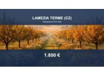 Immobile in asta di 2175 m² in vendita a Lamezia Terme