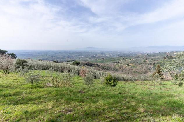 Terreno agricolo in vendita a Vitolini - Vinci 18450 mq Rif: 1399141 - Foto 2