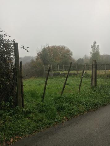 Agricolo in vendita a Sacrofano - Foto 8