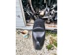 SELLA NERA ORIGINALE PIAGGIO BEVERLY TOURER 125/250/300/400/500 cc