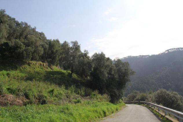 Rustico in vendita a Torcigliano - Camaiore 31 mq Rif: 1409772 - Foto 4