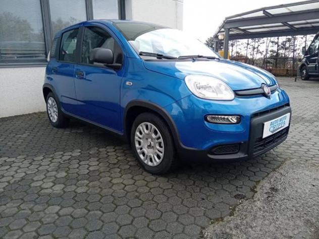 FIAT Panda 1.0 MILD HYBRID MANUALE PANDINA OK NEOPAT. KM ZERO rif. 23681683 - Foto 3
