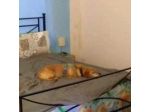 B&B Casa Fei