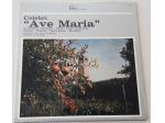 Celebri "AVE MARIA"