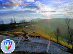 Tunnel Agricoli in varie metrature da € 590,00 a Treviso
