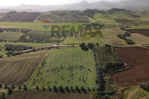 Terreno in vendita a Paternò - Foto 8