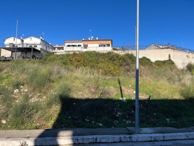 Agricolo in vendita a Segni