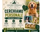 az. agricola e allevamento con alloggio