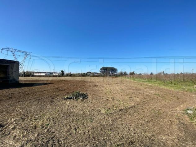 Agricolo in vendita a Giugliano in Campania - Foto 3