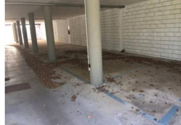 Immobile in asta di 13 m² in vendita a Olbia - Foto 3