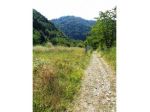 TERRENO AGRICOLO IN VENDITA – CORDOVA, CASTIGLIONE TORINESE