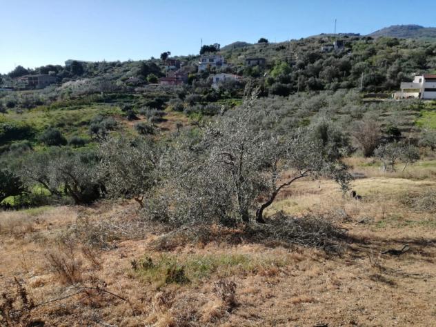 Agricolo in SP126 - Foto 11