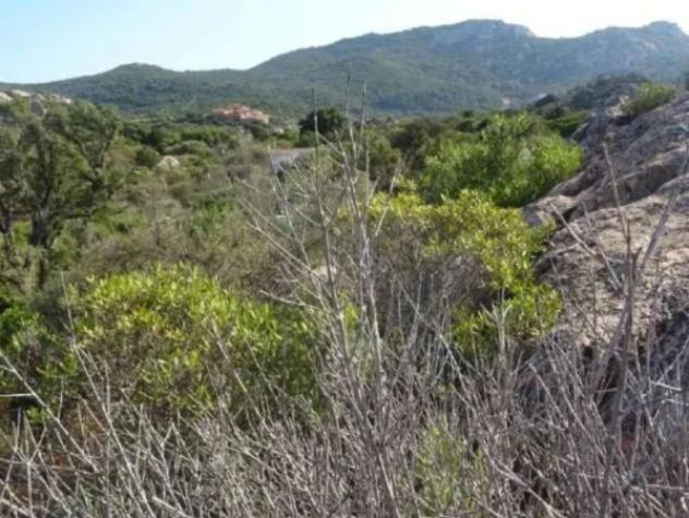 Immobile in asta di 5745 m² in vendita a Olbia - Foto 3