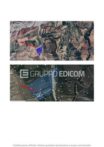 Magazzini e locali di deposito in vendita a Rotondella - Rif. 4550766 - Foto 3