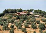 Vendita Rustico casale da 450 mq