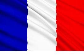 Madrelingua francese online