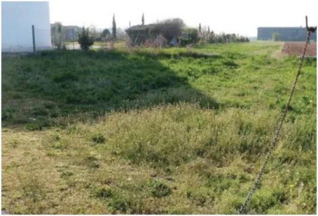 Immobile in asta di 8019 m² in vendita a Istrana - Foto 11