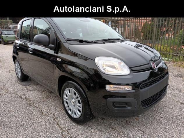 FIAT Panda 1000 HYBRID PANDINA POP 70CV ITALIA rif. 23999460