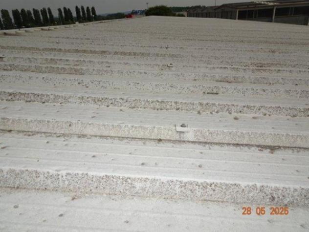 Immobile in asta di 1620 m² con più di 5 locali in vendita a Burolo - Foto 13